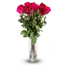 Bouquet of Ecuadorian roses